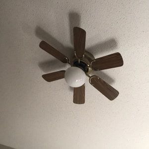 Meet your Posher, Kat